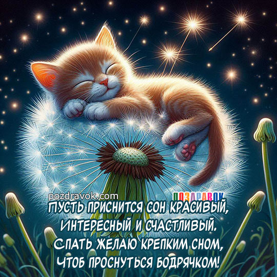 🌜 Доброй ночи, нежных снов! Красивое пожелание спокойной