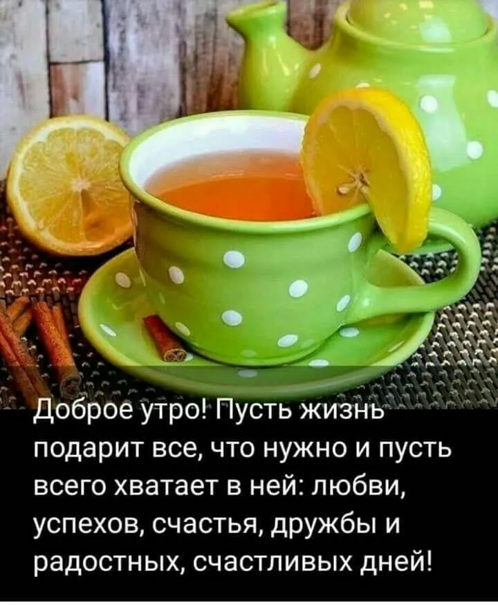 Мудрость жизни