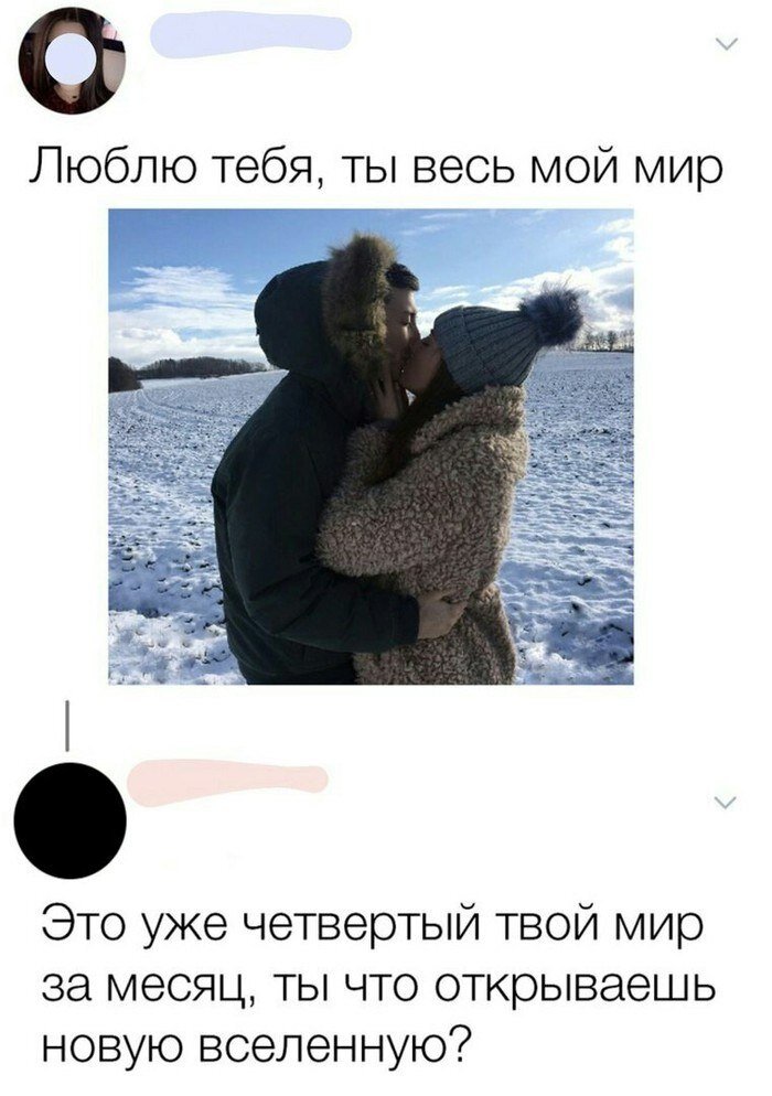 Свинки