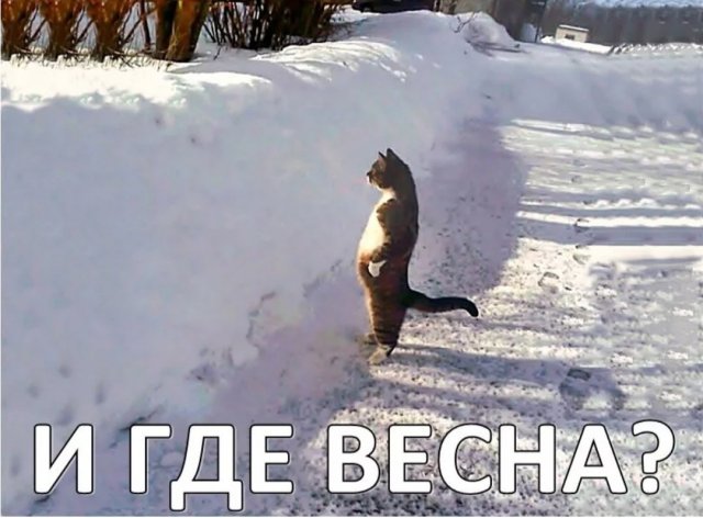 прикол #жизнь #весна #позитив