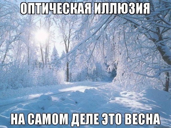 Теплые, удобные, милые, няшные и модные