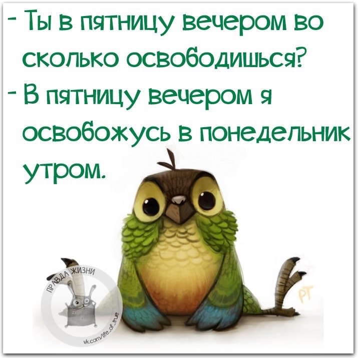 Доброе утро пятницы картинки прикольные