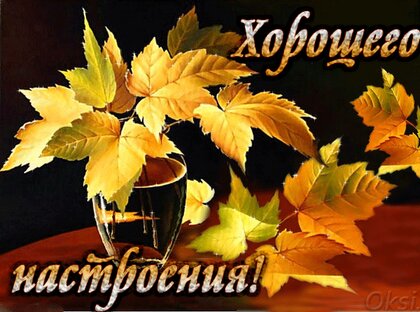 🌹Доброго Дня Отличного Настроения! Открытки Добрый День