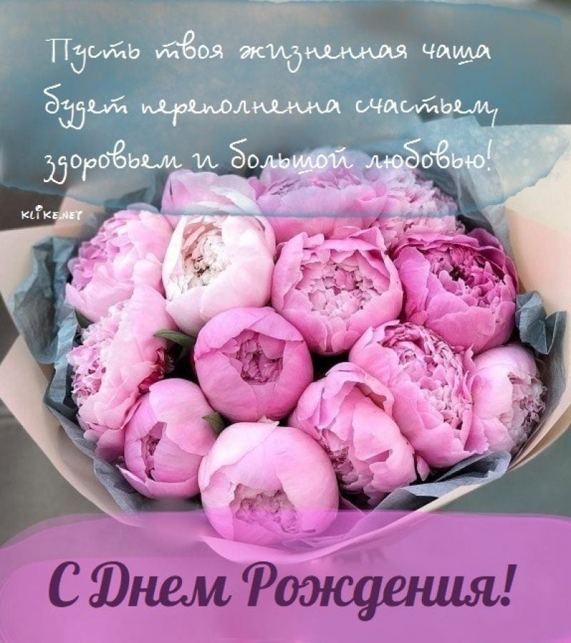 С Днем Рождения подружка🌺Красивые #прикольные #поздравления