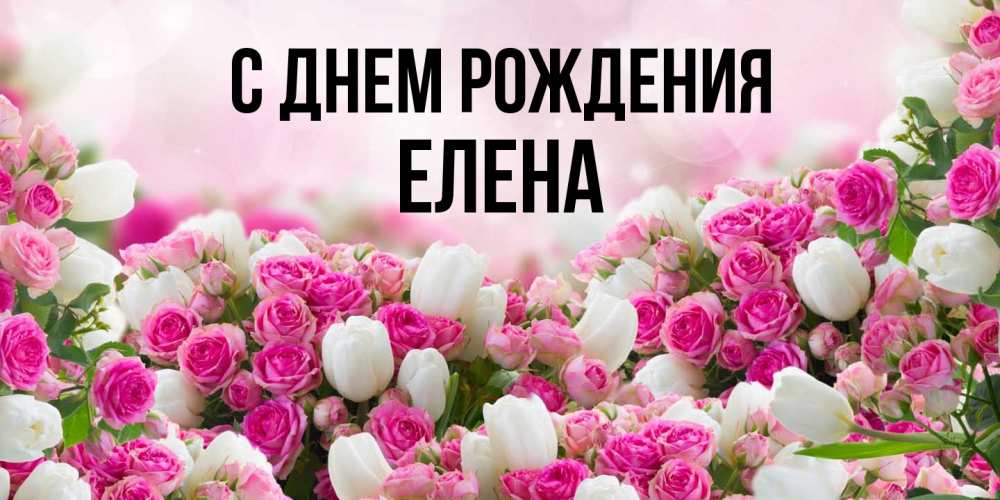 С днем рождения елена евгеньевна 