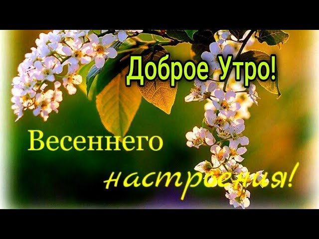 Доброе Утро ! Весеннего Настроения в