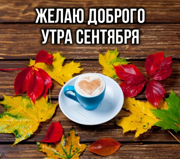 Позитивные картинки Доброе утро 😄 👇