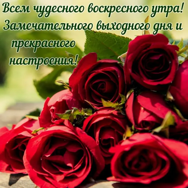 С ВОСКРЕСЕНЬЕМ — поздравления картинки 💐 Доброго утра, дня