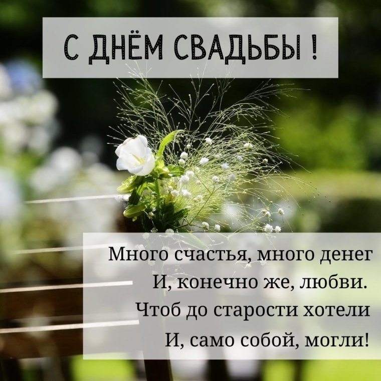 Какие цветы дарят на годовщину свадьбы | Блог Семицветик