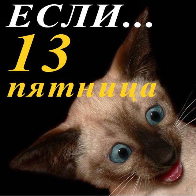 С пятницей! 50 смешных картинок