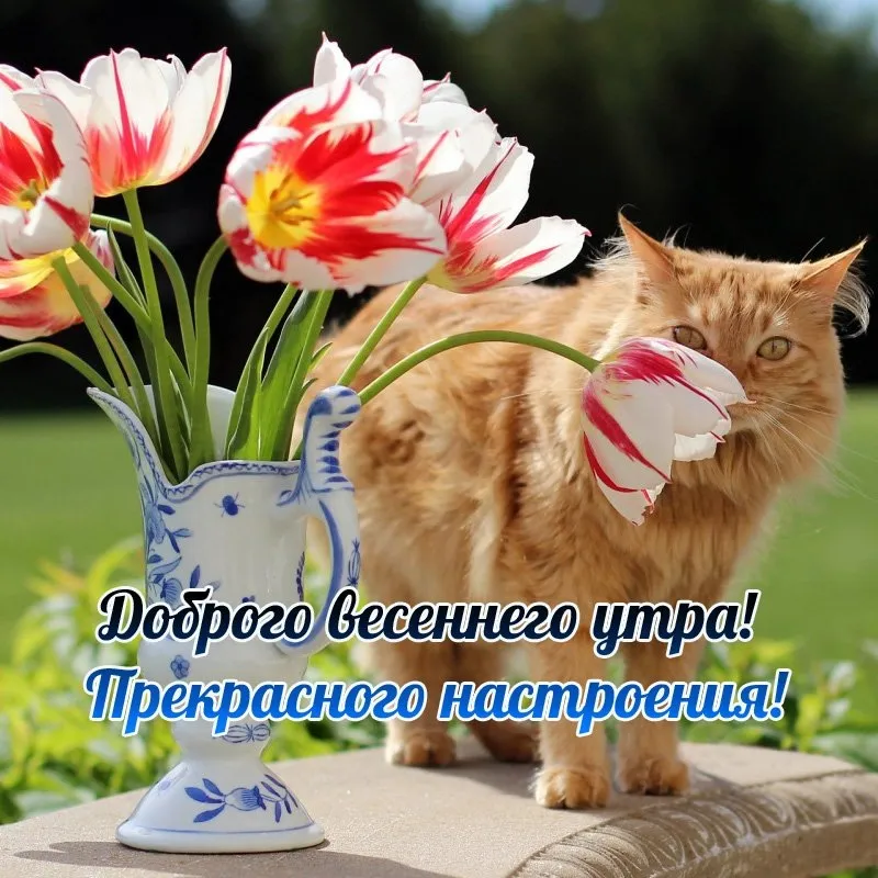 💌☀️😄 Картинки Хорошего дня