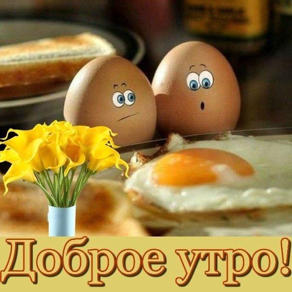 Красивые открытки для пожелания доброго утра, дня, вечера