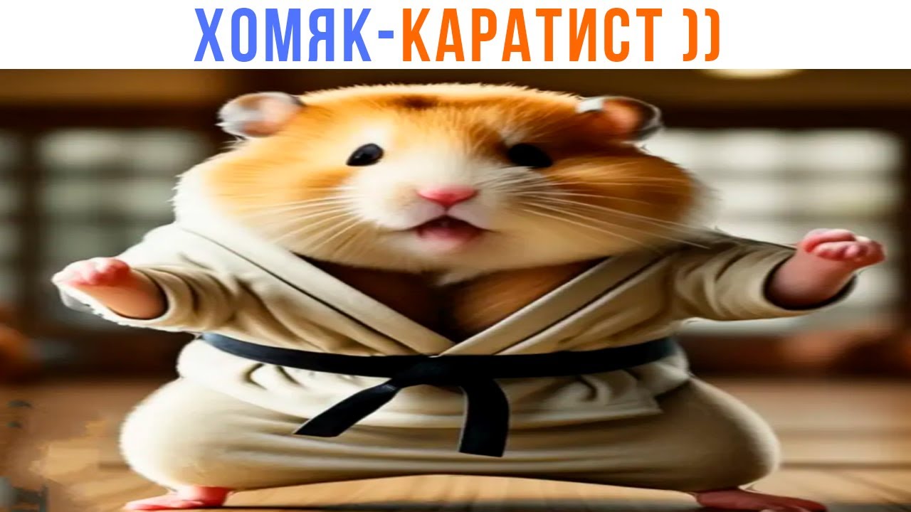 BipBap.ru