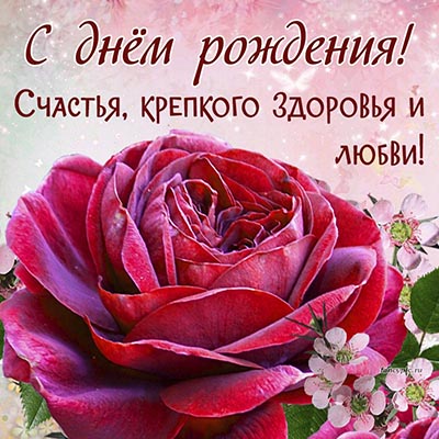 🌹 С днём рождения с розами открытки. Красивые картинки с