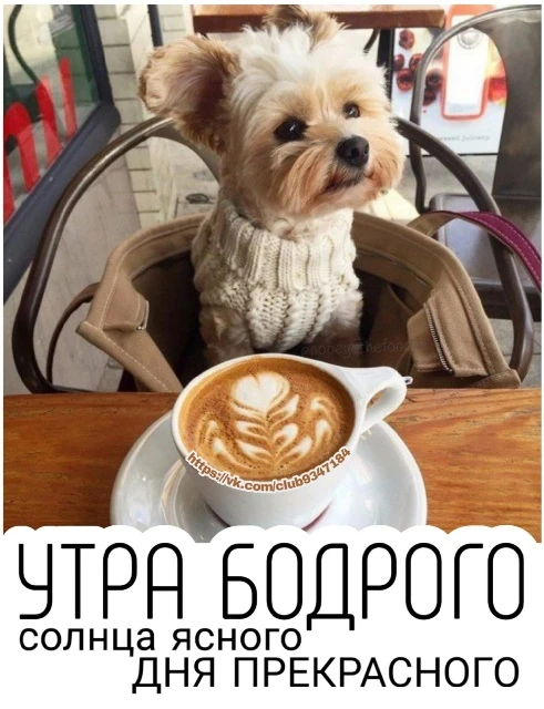 Красивые картинки Доброе утро ☀️☕ | Счастливые картинки