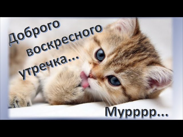 Доброе воскресное утро!/ С добрым утром