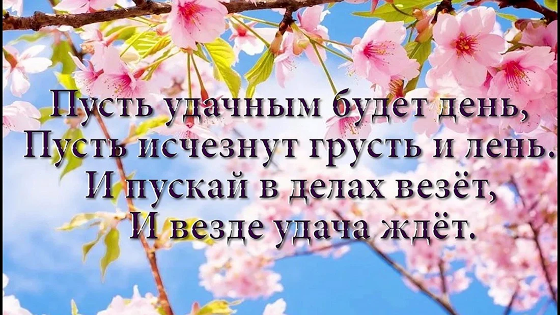 Пожелания доброго утра и хорошего рабочего дня 