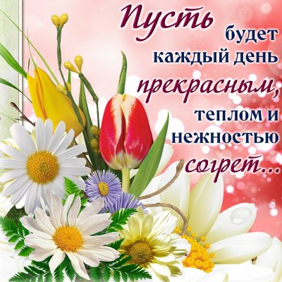 🌺🌺🌺Пожелание Прекрасному человеку от меня! Красивая