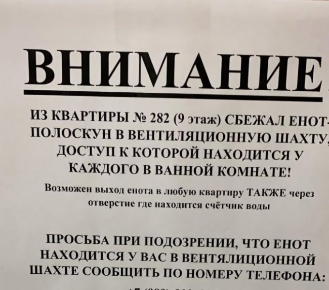 Прикольные картинки с надписями и