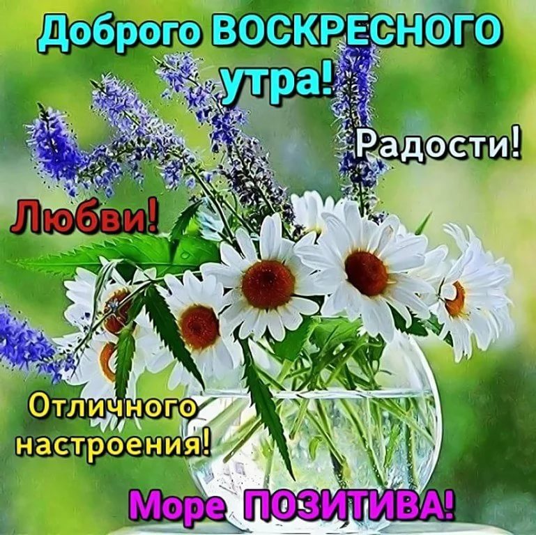 ВОСКРЕСЕНЬЕ ДОБРОЕ УТРО! Удачного Воскресенья! Хорошего