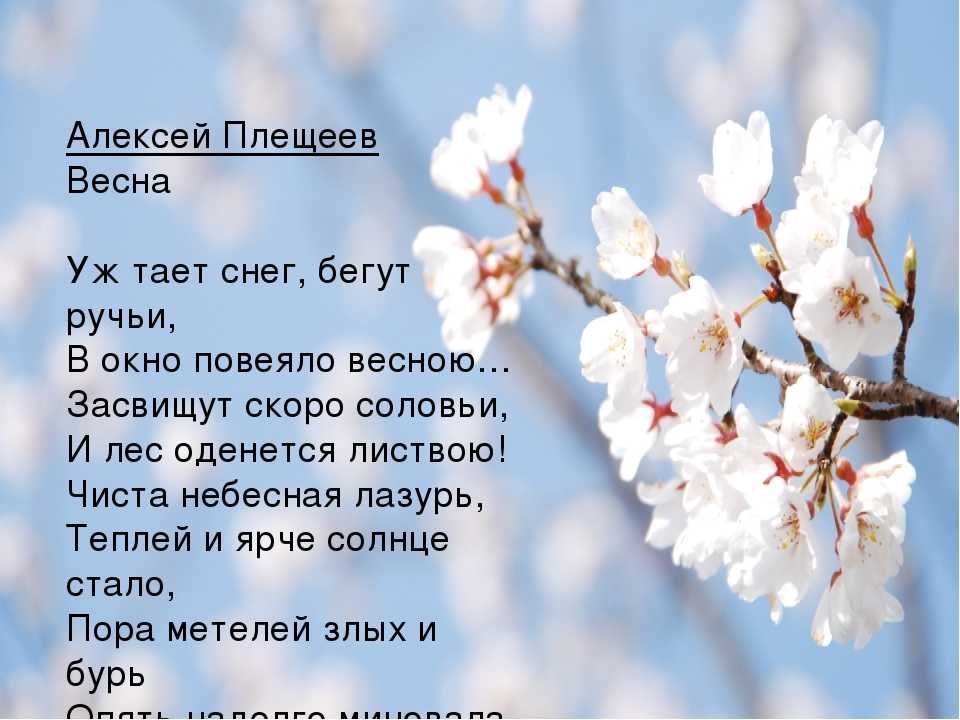 Красивые картинки Весна статусы