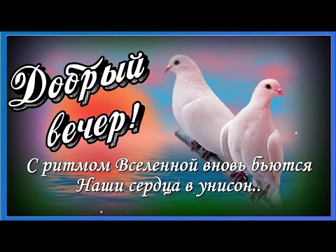 Добрый вечер картинки с надписями красивые