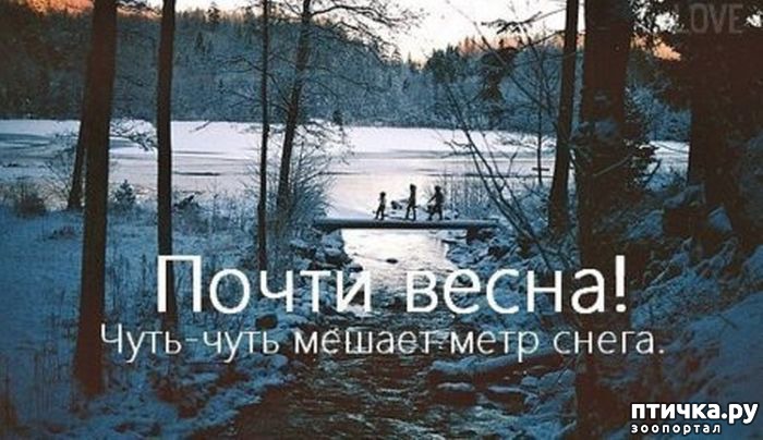 С ПЕРВЫМ ДНЕМ ВЕСНЫ. прикольные