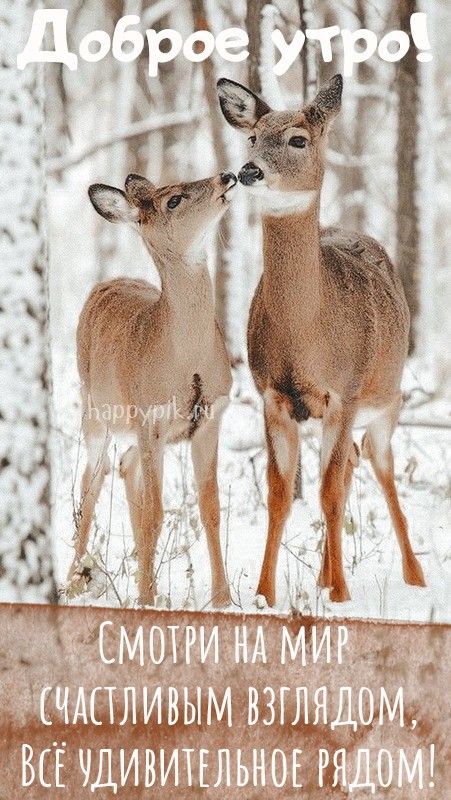 ❄️⛄😍 Картинки с добрым зимним утром