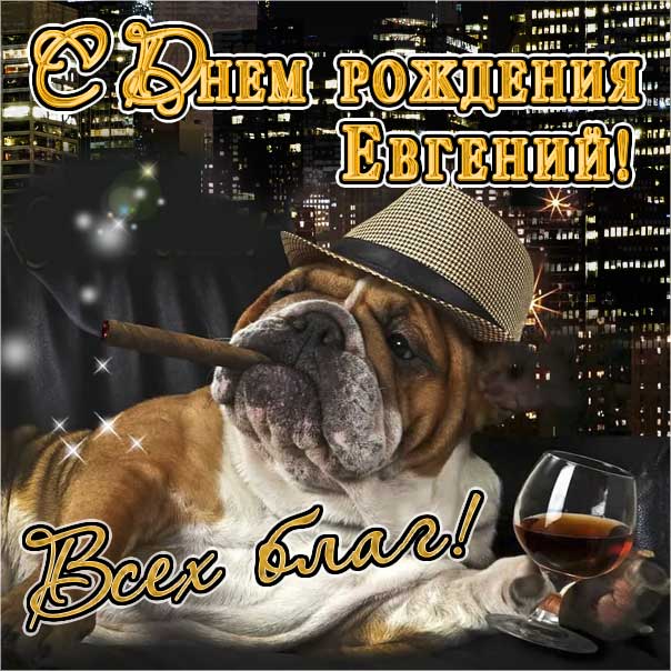 С Днем Рождения,Евгений!Красивая песня