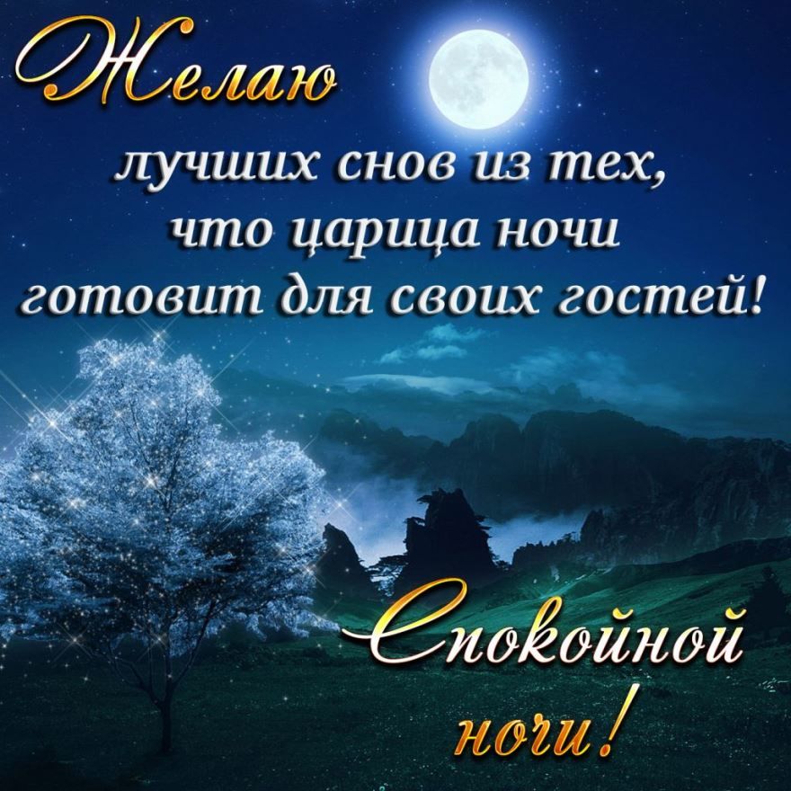 Спокойной ночи! Сладких снов! 😴#спокойнойночи #сладкихснов