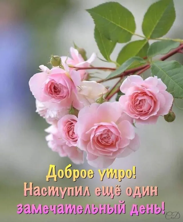 💌☀️😄 Картинки Хорошего дня