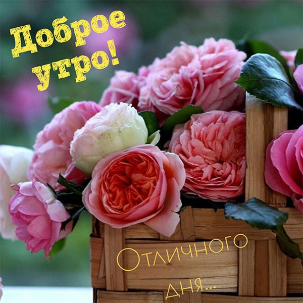 С добрым утром 💞