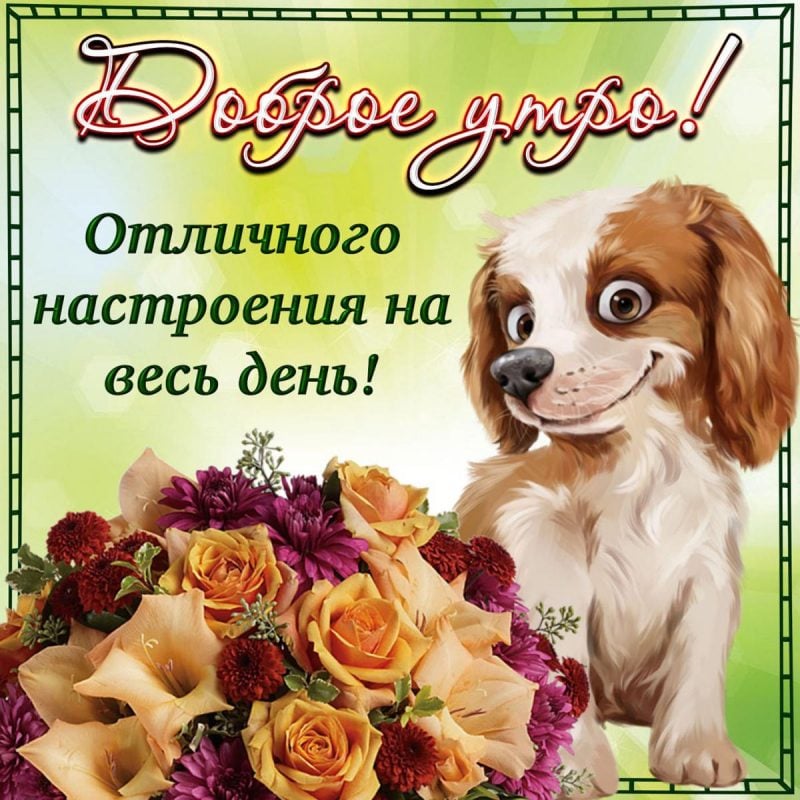 💌☀️😄 Картинки Хорошего дня