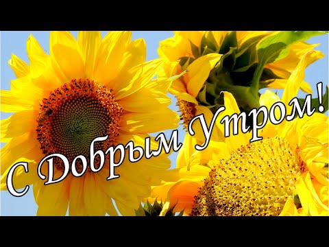 Доброе утро | Открытки с Днём Объятий