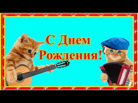 Веселая кртинка с днем рождения мужчине с котиком | Открытки