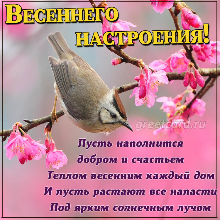 😃 Доброго весеннего дня и хорошего настроения.