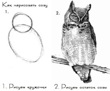 Как нарисовать милого Котика правильно и не правильно