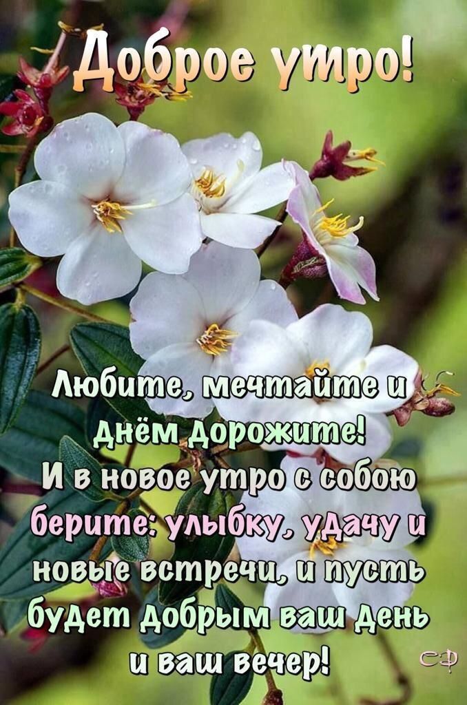 Доброе сентябрьское утро 