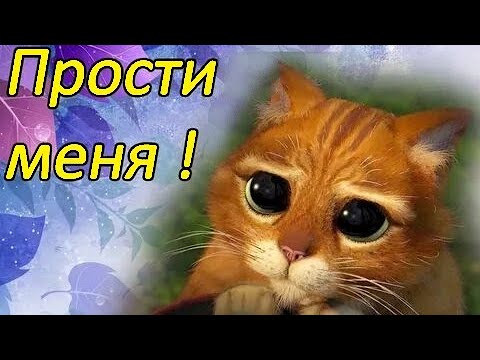 Прости Меня Прикольные Картинки | TikTok