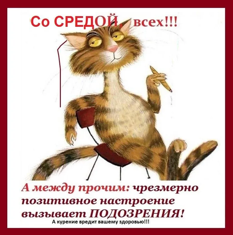 Удачной среды! 🦋 Поздравление со средой