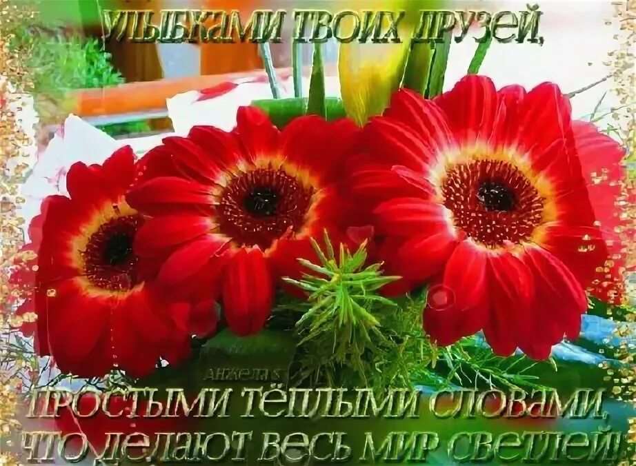 С Добрым Утром! ☕🌹Красивейшие Пожелания Доброго Утра и