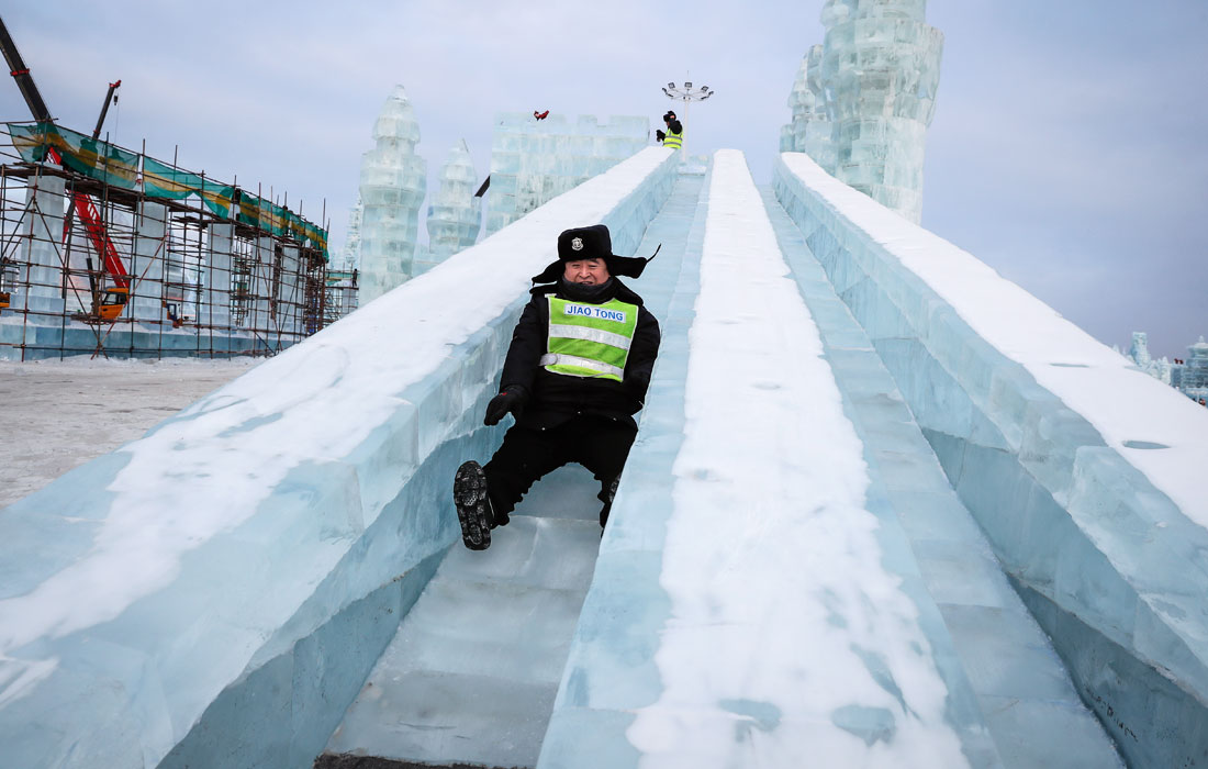 Смешные картинки про кошек с надписями. сложно не засмеяться