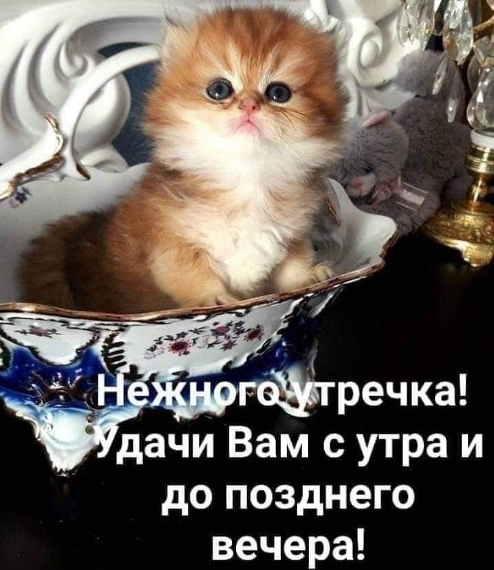 Красивые картинки