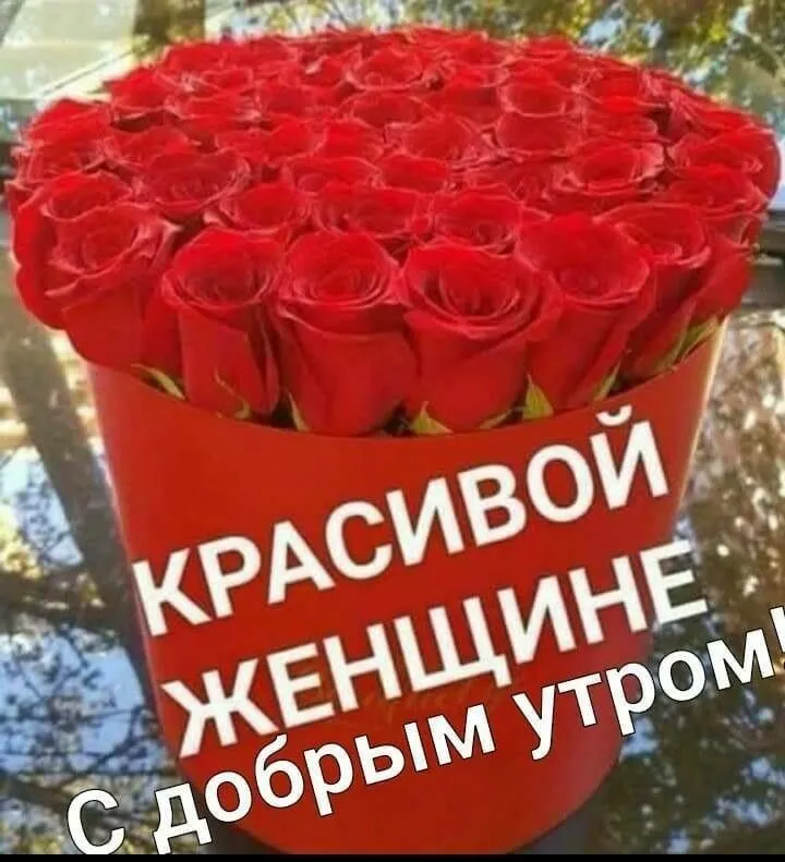 Доброе утро семья 