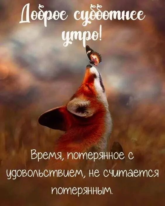 Доброе утро! СУББОТА, люди! Отдыхайте! И наслаждайтесь