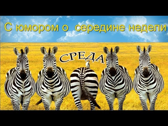 Картинки С добрым утром среды