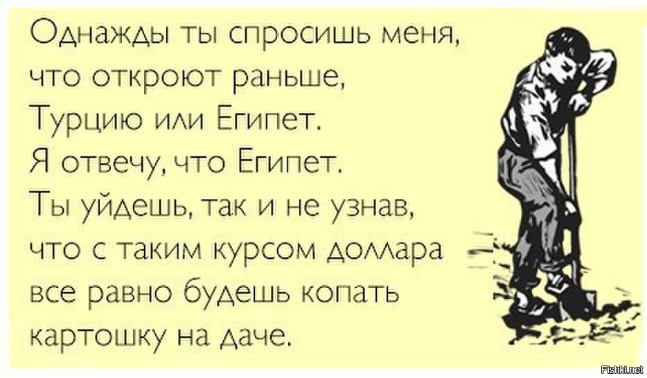 День «Работай как собака» 5 августа: веселые открытки и стихи