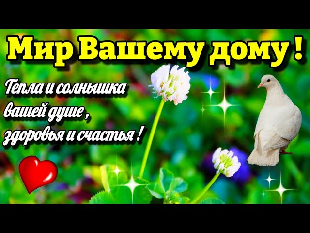 Картинки доброе утро с пожеланиями здоровья и счастья цветами