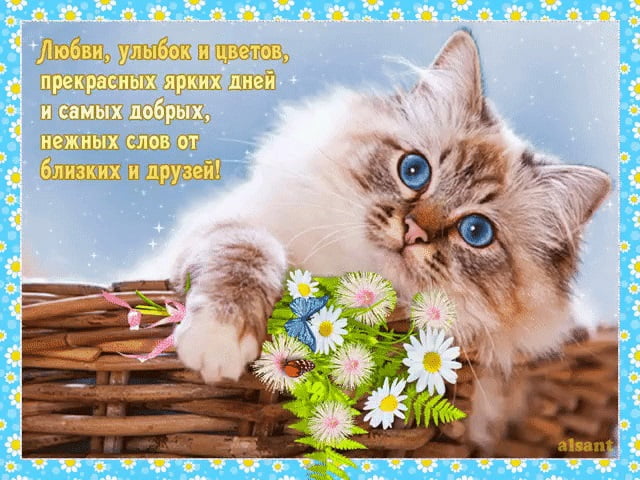 🌺🌺🌺Пожелание Прекрасному человеку от меня! Красивая