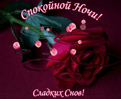 Спокойной ночи сладких снов. ~ Открытки 